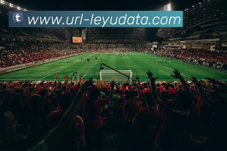 多媒体互动体验